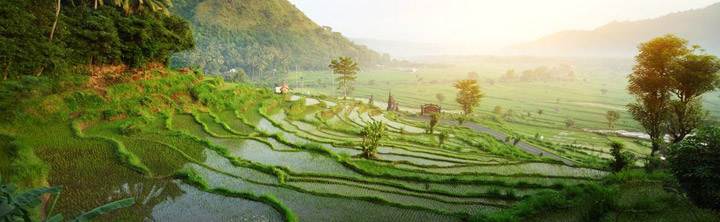 Ubud