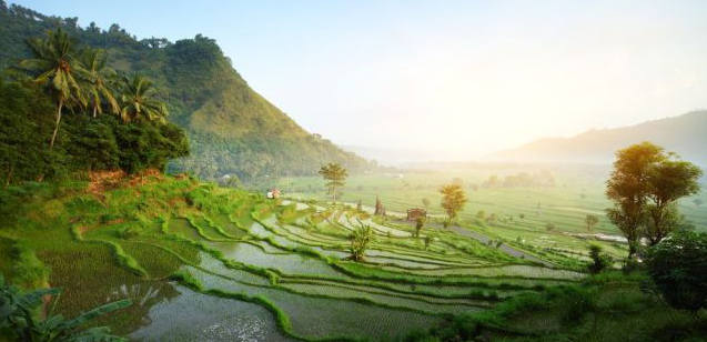 Die beste Reisezeit für Indonesien erfahren Sie hier bei 5vorflug.de!